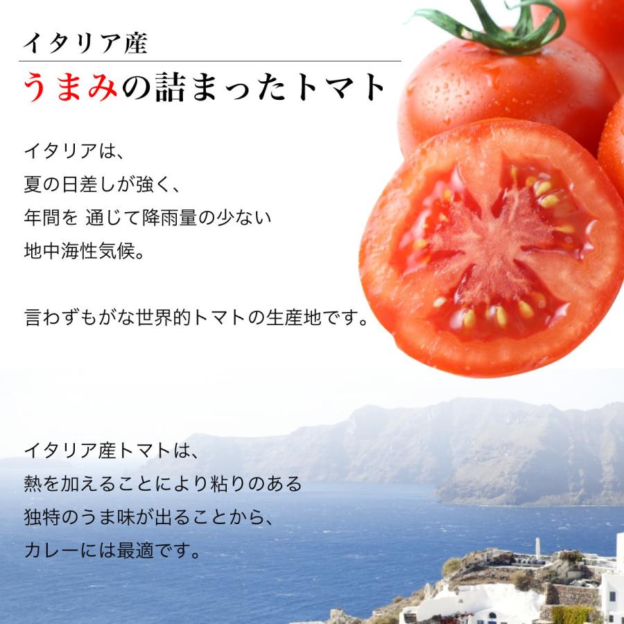 高級 ココナッツカレー 180 2パック グルテンフリー ベジタリアン対応 ヴィーガン対応 プレゼント ギフト 内祝い 無添加 レトルトカレー カレー 野菜 淡路島カレー ヤフー店 通販 Yahoo ショッピング