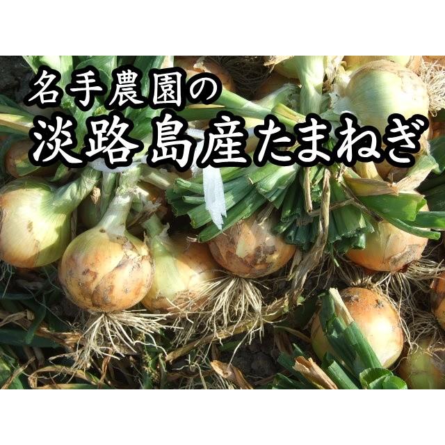 淡路島産 玉ねぎ 5kg 2024年産  新玉ねぎ＊地域限定送料無料でお届けいたします！｜awajisima｜04