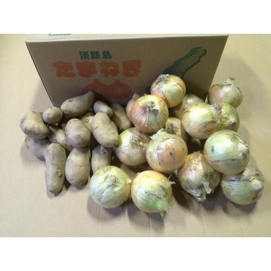 淡路島産玉ねぎ・じゃがいも（メークイン） 10kg 2025年産 地域限定