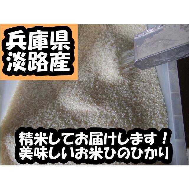 淡路島産お米 2024年産 (精米)10kg *地域限定送料無料でお 淡路島産お米 2024年産 (精米)10kg *地域限定送料無料でお