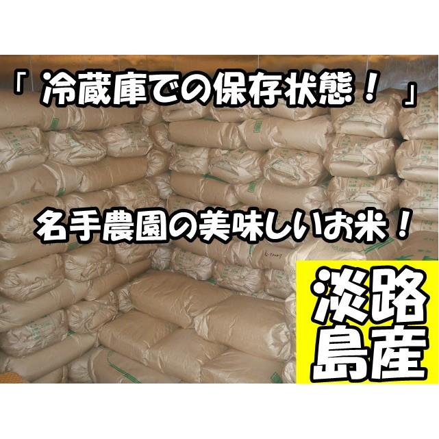 淡路島産お米 2025年産 （玄米）20kg ＊地域限定送料無料でお届け