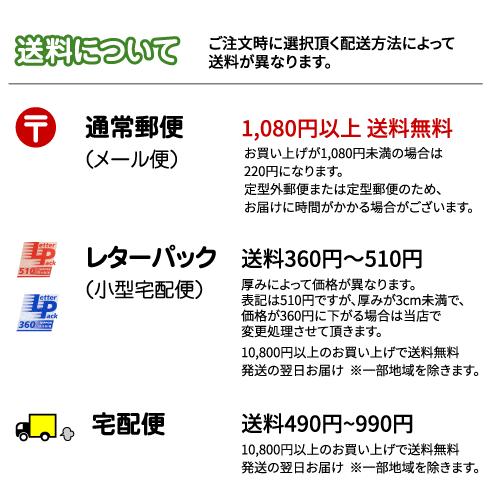 カラー  名刺 印刷 名刺 作成  　縦型・上部分にベタ塗りを配置した名刺デザイン　オーダー 名刺 10枚単位  / ビジネス　趣味　プライベート　お店　会社 |  | 02