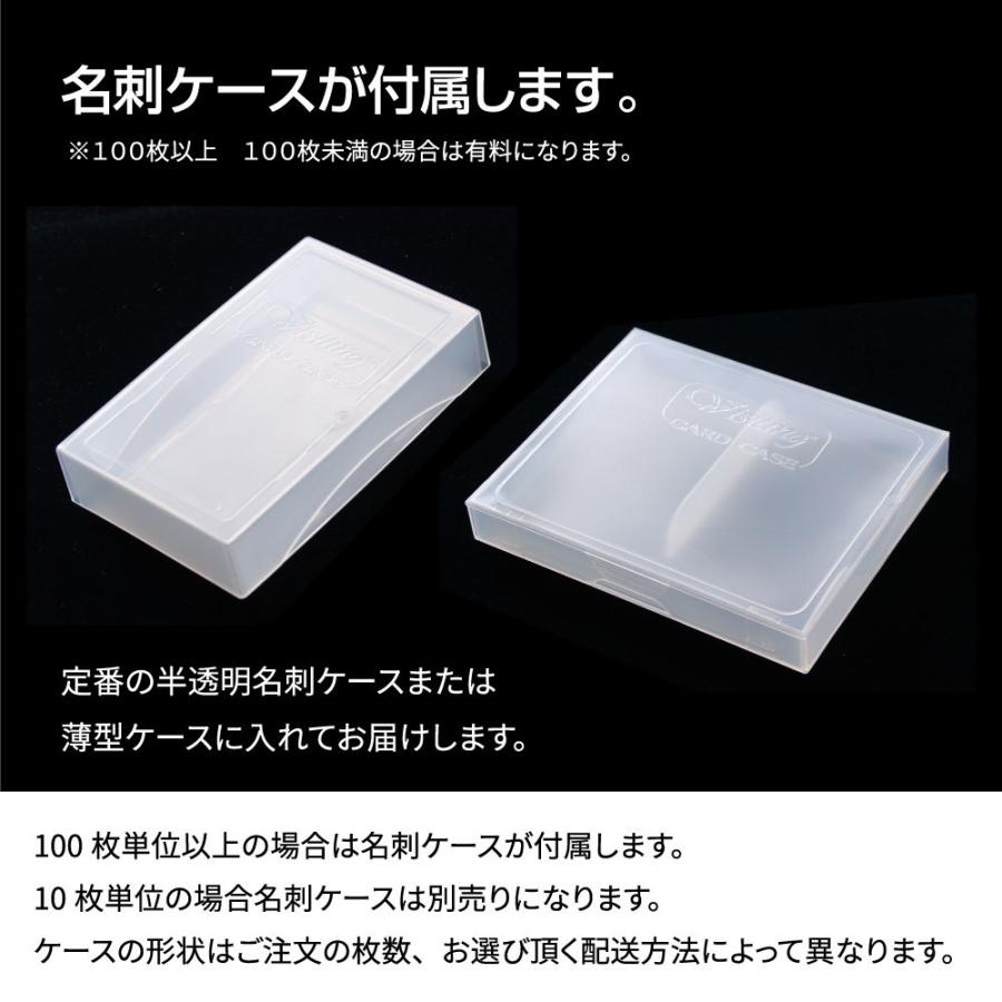 カラー  名刺 印刷 名刺 作成 　ロゴ入りレイアウトの名刺デザイン 100枚　名刺ケース1個付属 / ビジネス　趣味　プライベート　お店　会社 |  | 02