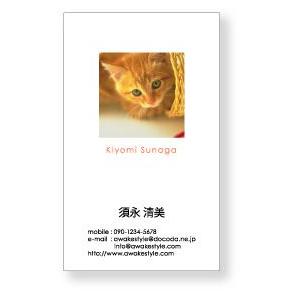 写真  名刺 印刷 名刺 作成　上部に四角に写真を配置したデザインです。 10枚単位  / ビジネス　趣味　プライベート　お店　会社 | 