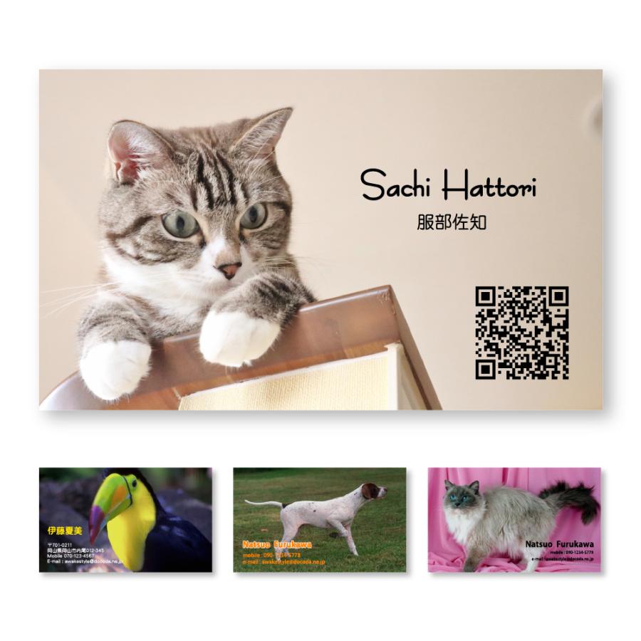 ペット 用品 おしゃれ 写真  名刺 印刷 10枚単位 写真を全面に配置した名刺デザイン 作成 オーダー オリジナル ショップカード | 
