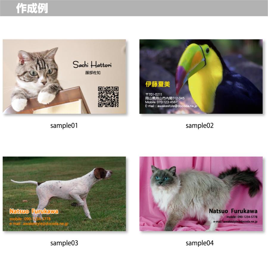ペット 用品 おしゃれ 写真  名刺 印刷 100枚単位 写真を全面に配置した名刺デザイン　名刺ケース1個付属 名刺 作成 オーダー オリジナル ショップカード |  | 01