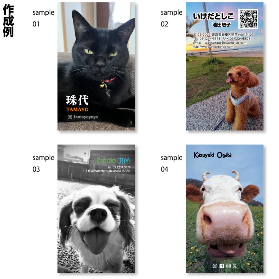 ペット 用品 おしゃれ 写真  名刺 縦 印刷 100枚単位 写真を全面に配置した名刺デザイン　名刺ケース1個付属 名刺 作成 オーダー オリジナル ショップカード |  | 03