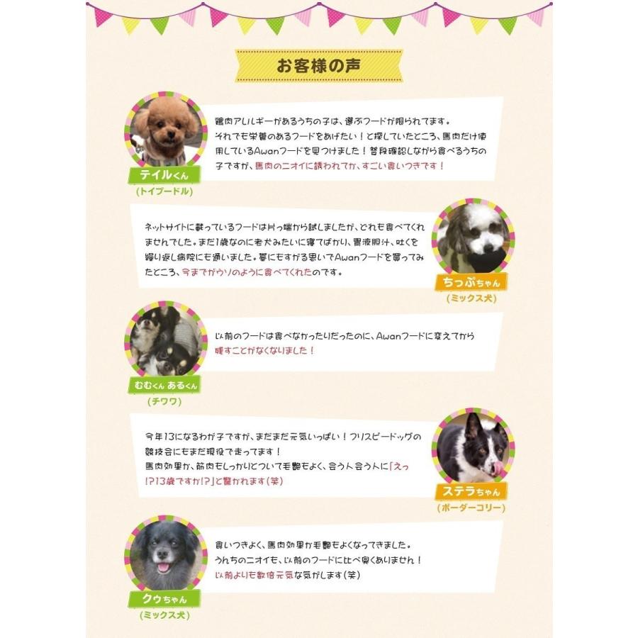 鹿肉ドッグフード 1 0kg 6袋 6 0kg 国産 無添加 送料無料 ペットフード 鹿肉 プレミアムドッグフード ベニソン 九州鹿 10 3 馬肉 鹿肉専門店awanドッグフード 通販 Yahoo ショッピング