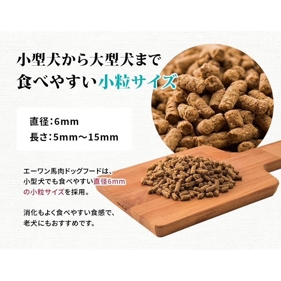 馬肉ドッグフード 1.0kg（無添加 国内肥育 エーワン 馬肉