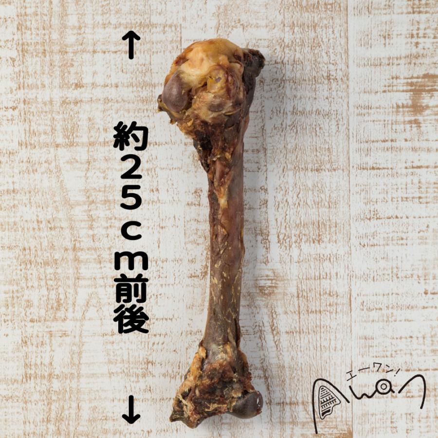 鹿の骨 大 犬 おやつ 鹿肉 鹿 デンタルケア 骨 犬のおやつ 国産 エーワン ベニソン 鹿骨 無添加おやつ 12 7 馬肉 鹿肉専門店awanドッグフード 通販 Yahoo ショッピング