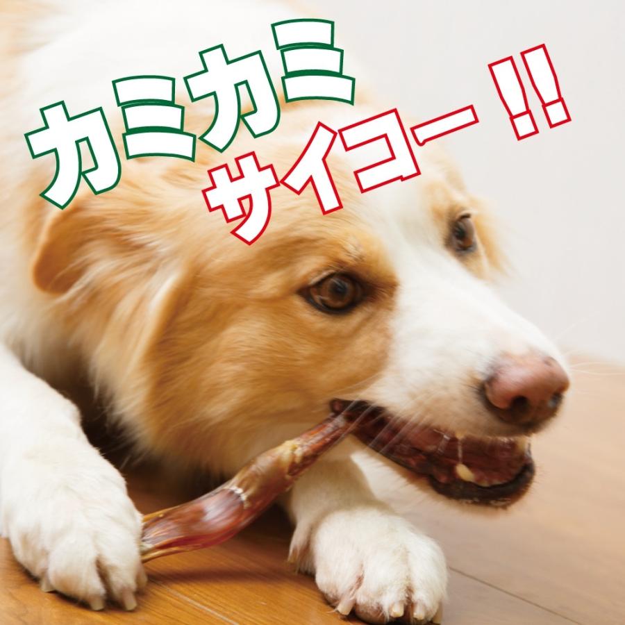 馬アキレス ロング3本入り 馬 アキレス 無添加 ロング 犬のおやつ ペットフード 馬のアキレス 7 13 馬肉 鹿肉専門店awanドッグフード 通販 Yahoo ショッピング