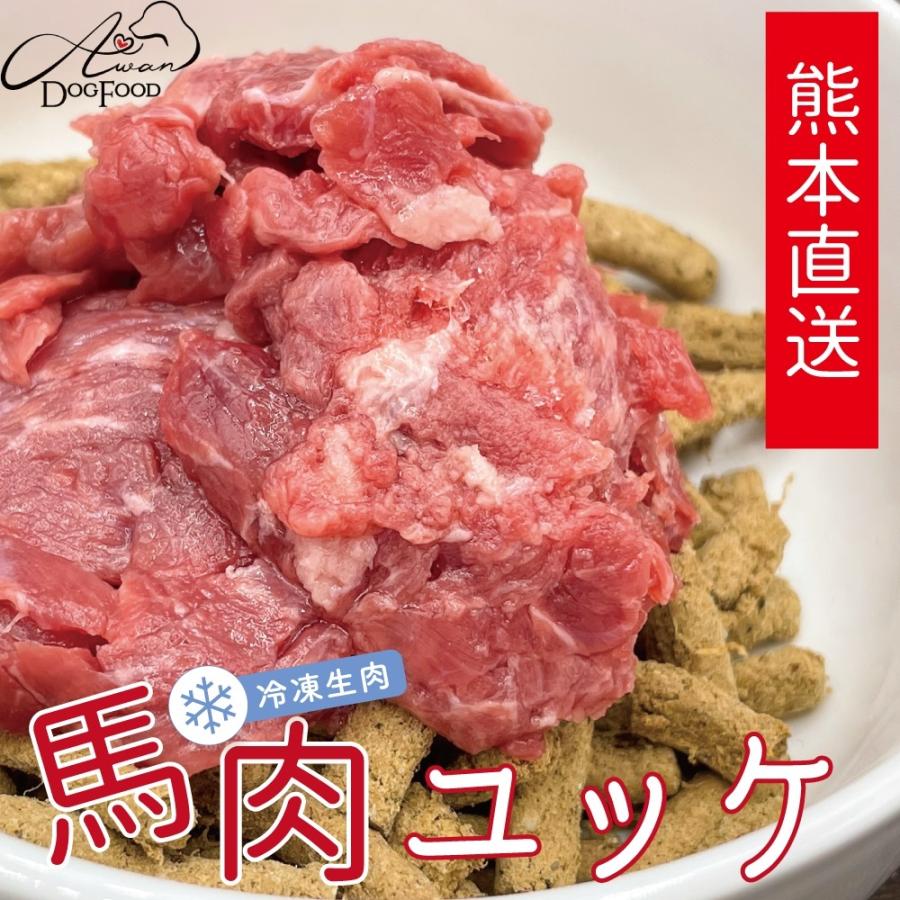 【税込?送料無料】 売れ筋がひ新作 馬肉冷凍ユッケ 50ｇ×10パック 小分けタイプ 馬肉 冷凍馬肉 熊本肥育 生肉 ホース 酵素 国産 馬ユッケ nanaokazaki.com nanaokazaki.com