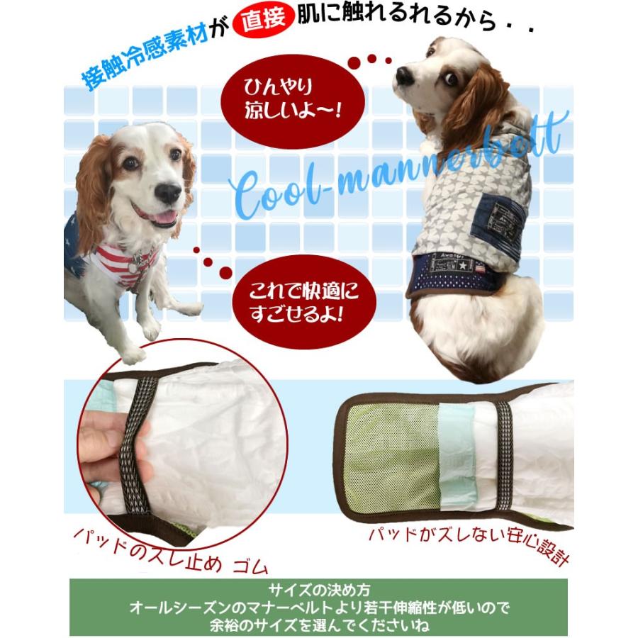 Ds ひんやり 快適 接触冷感 犬 クール メッシュ マナーベルト 夏用 小型犬 ダックス トイプードル チワワ 専門 涼 ずれにくい Mannerbelt S Ds Awandyあわんでぃー 通販 Yahoo ショッピング