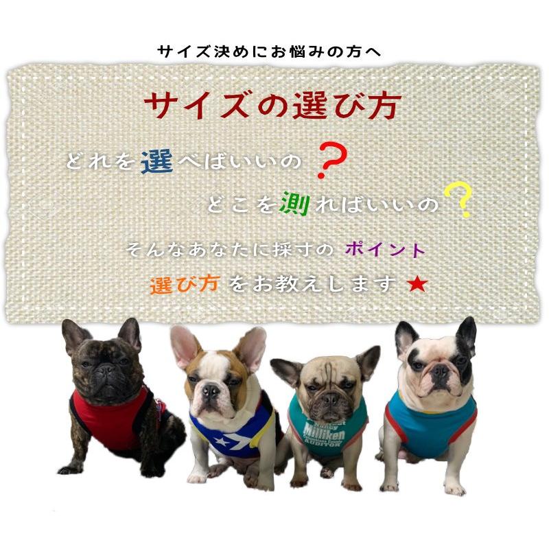3L 小型犬胴長 ダックスS チワワ トイプー ハンドメイド アメリカン