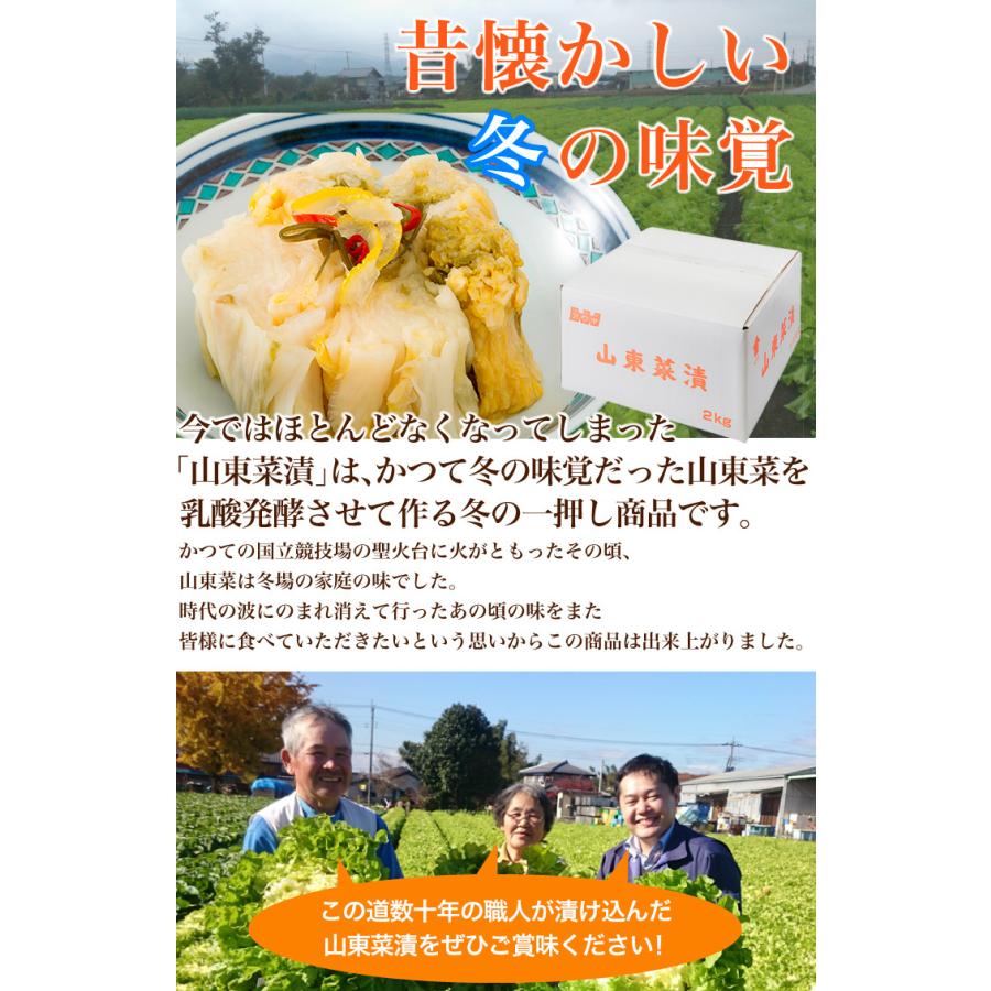 山東菜漬け 2kg 発酵漬物 1月お届け分　冬季限定商品 各種ギフトカタログでも人気の商品 |  | 03