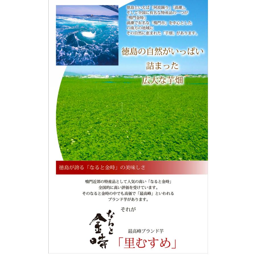 母の日 プレゼント ギフト 和菓子 お供え お菓子 四十九日 名誉総裁賞 お誕生日 送料無料 お礼 内祝い お返し お祝い 四十九日 還暦祝い 古希 喜寿 米寿｜awayatokushima｜03