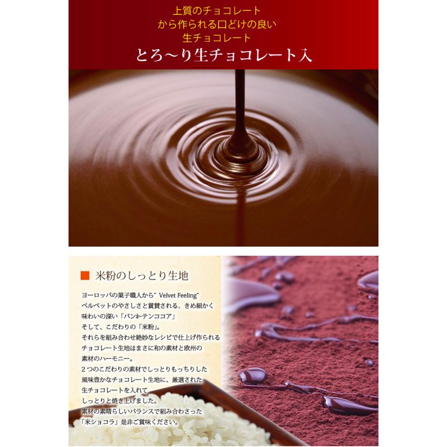 母の日 プレゼント ギフト 和菓子 お供え お菓子 香典返し 品物 お誕生日 チョコレート 生チョコ 米ショコラ お礼 内祝い お祝い｜awayatokushima｜04