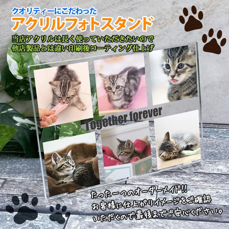 アクリル写真スタンド ペット アクリルフォト パネル 写真 フォト