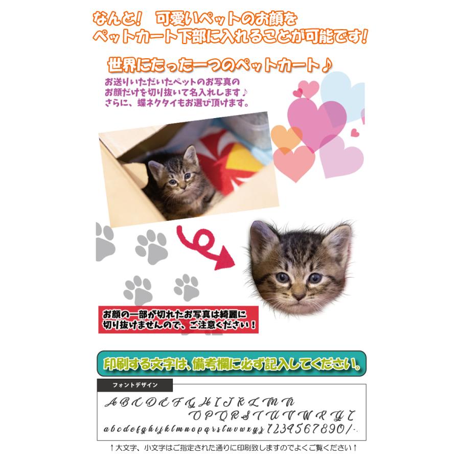 うちのペット♪ フェイス名入れ ペットカート 軽量 コンパクト 折りたたみ 小型犬 多頭 中型犬 ペットバギー 2WAY 猫 対面式_6