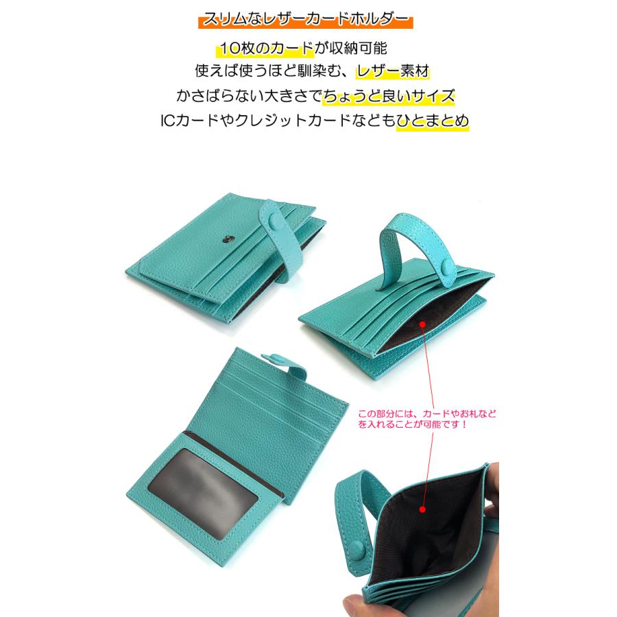 2200+ カードケースホルダー(水色) CELINE セリーヌ （CELINE） ジップ付き カードホルダー カード