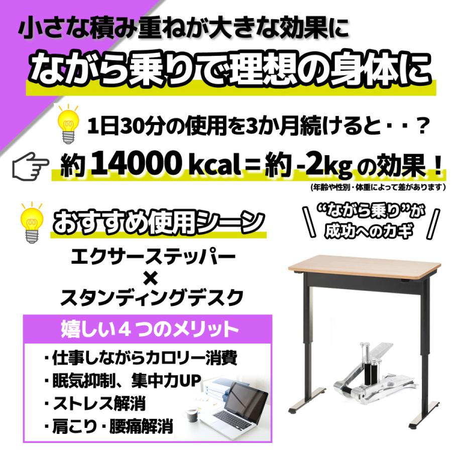 Xiser Pro Trainer エクサー プロ ステッパー【日本語説明書,5年 Xiser Pro Trainer エクサー プロ ステッパー【日本語説明書,5年