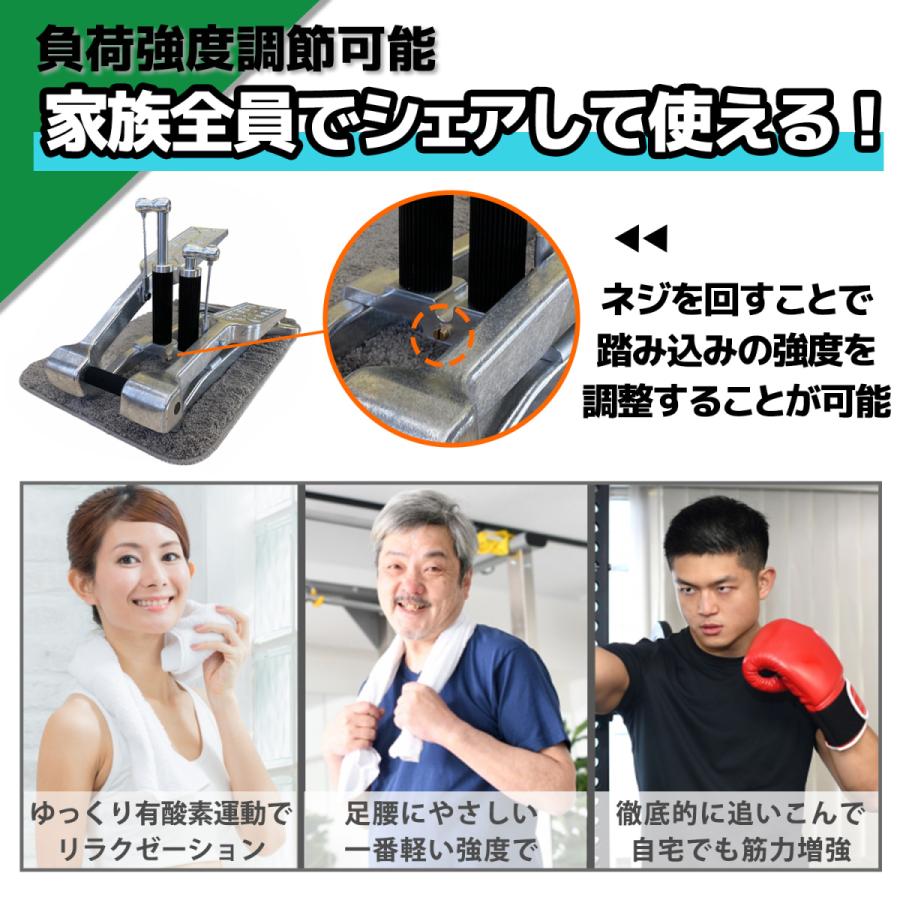 Xiser Pro Trainer エクサー プロ ステッパー【日本語説明書,5年 Xiser Pro Trainer エクサー プロ ステッパー【日本語説明書,5年