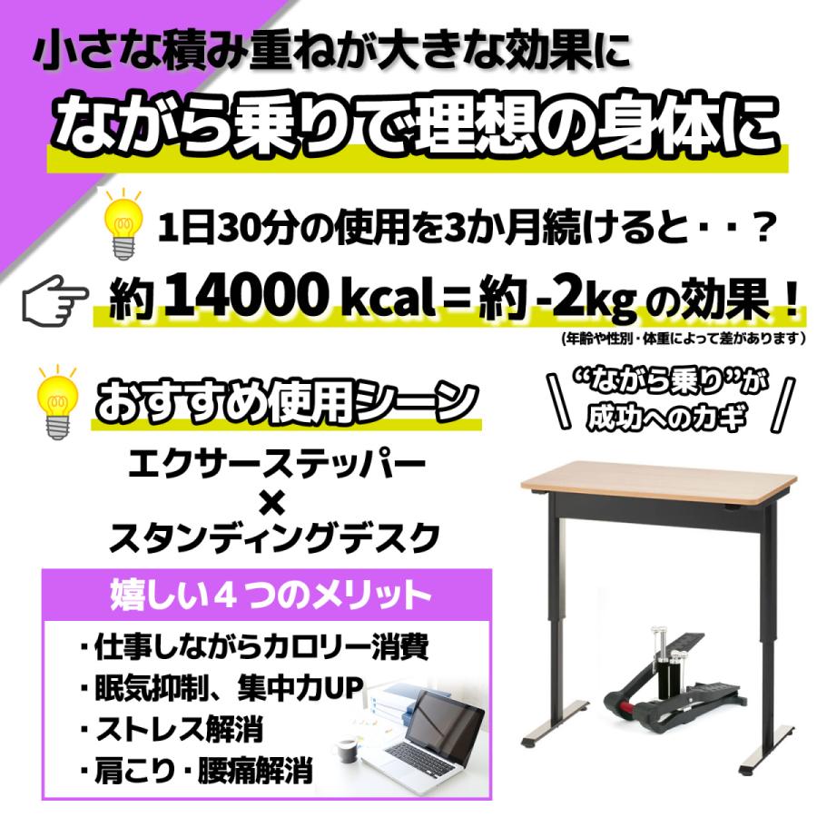 Xiser Pro Trainer エクサー プロ ステッパー【日本語説明書,5年