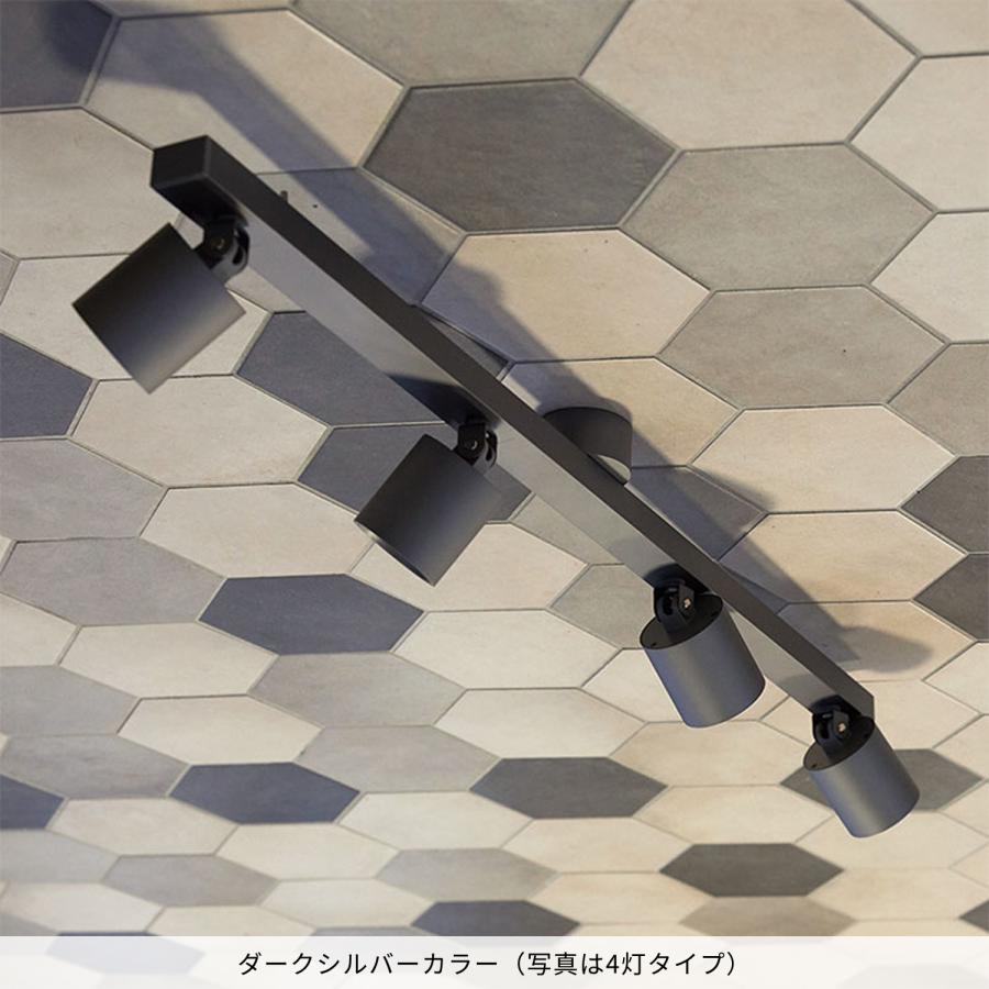 アートワークスタジオ　4連シーリングライト　LEDダークシルバー アートワークスタジオ 4連シーリングライト LEDダークシルバー 楽天