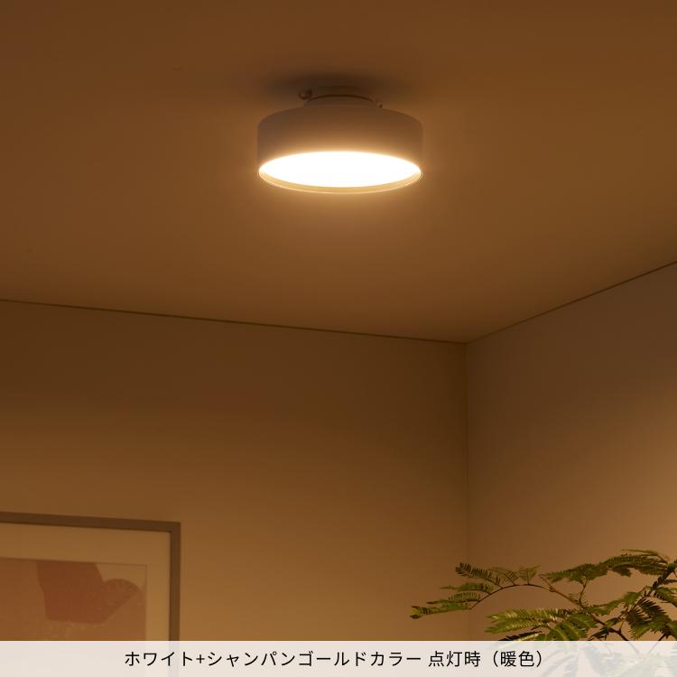 ARTWORKSTUDIO シーリングライト 4畳 5畳 照明器具 アートワーク ARTWORKSTUDIO シーリングライト 4畳 5畳 照明器具 アートワーク