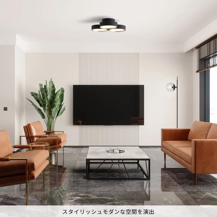 ARTWORKSTUDIO シーリングライト 12畳 照明器具 アートワーク ARTWORKSTUDIO シーリングライト 12畳 照明器具 アートワーク