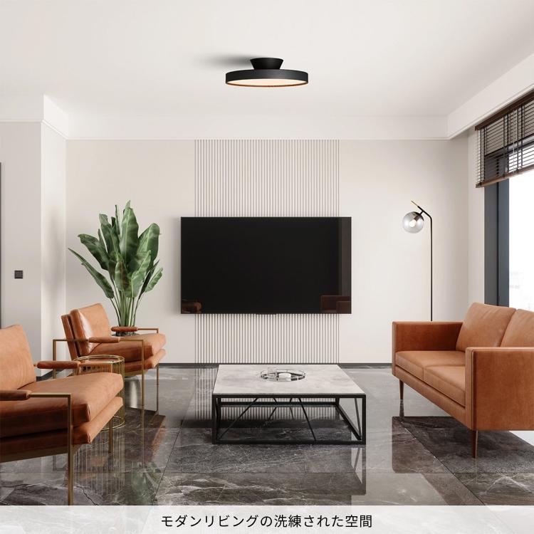 ARTWORKSTUDIO シーリングライト 14畳 アートワークスタジオ AW ARTWORKSTUDIO シーリングライト 14畳 アートワークスタジオ AW