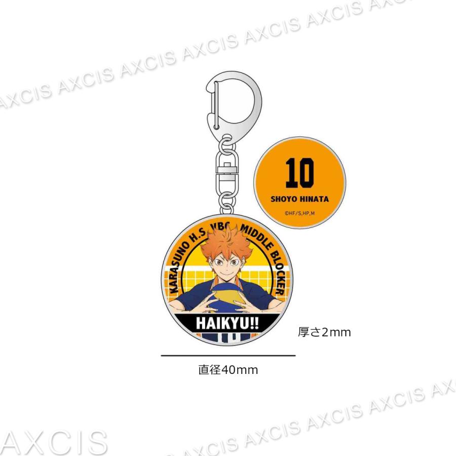 ハイキュー!! メタルキーチェーン(全10色)コンプリートボックス