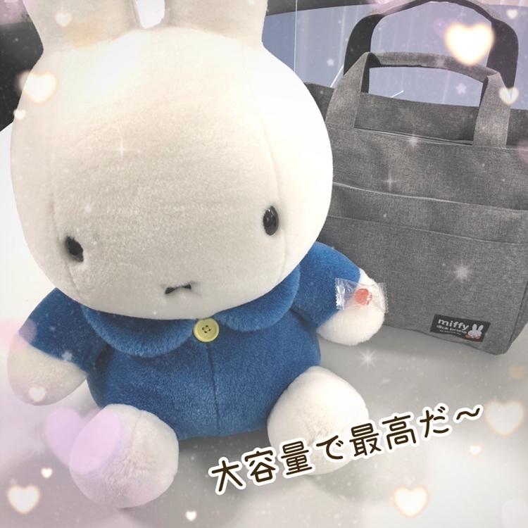 Miffy（ミッフィー） ポリ11ポケット2WAYショルダー : AXCIS - 通販