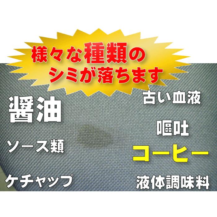 車内 内装 剤 染み 除去 ルーム クリーナー クリーニング シート 取り しみ 除去 剤 汚れ落とし 内装用 洗車 用品【リムーバーB 1L(キャニオンガン1本付き)】｜axe123｜05