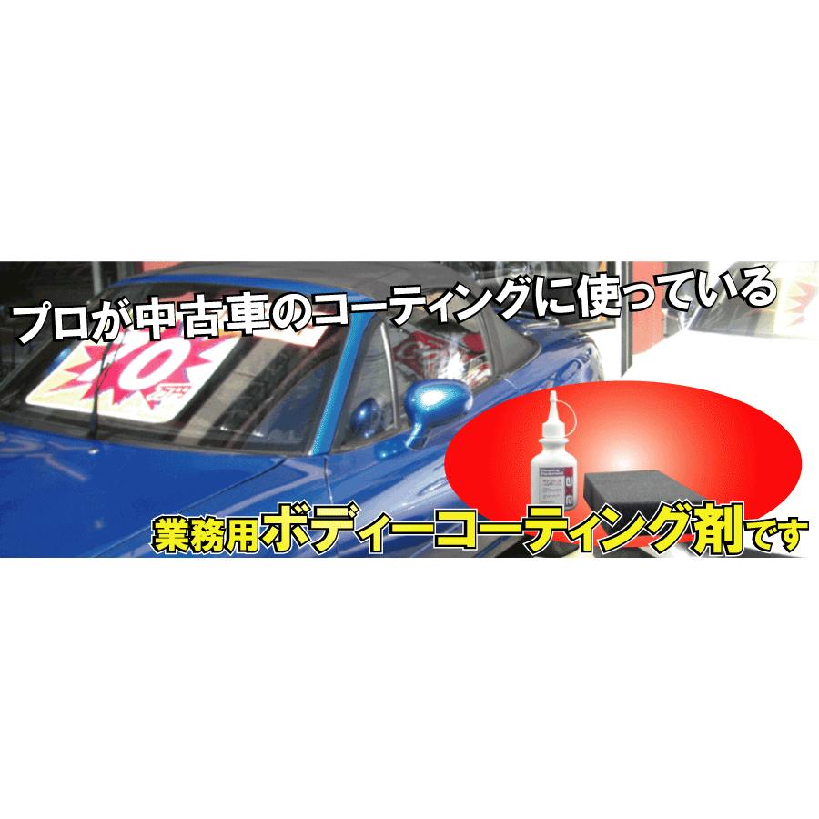 市販 ガラスコーティング剤 キラクリーンZ 400cc : カークリーニング