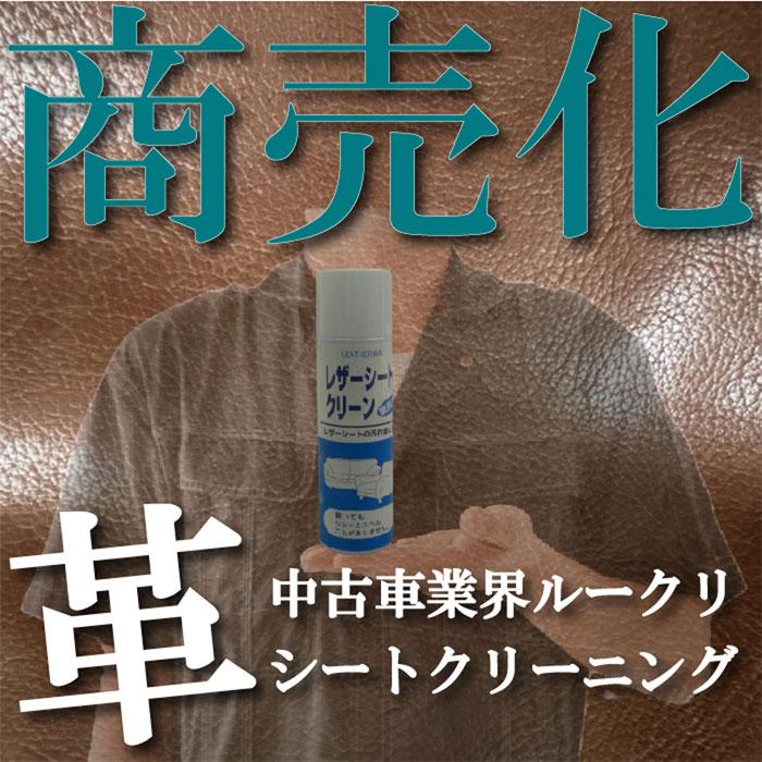 レザーシートコーティング クリーナー 本革シートクリーンセット