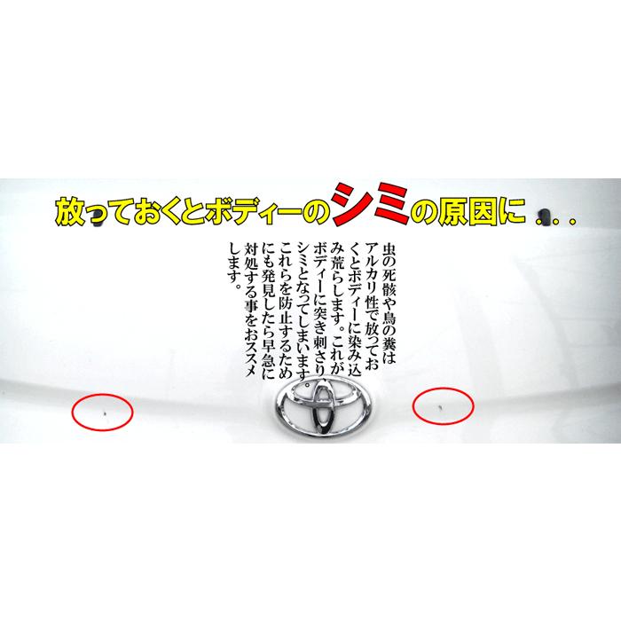 洗車 虫取り クリーナー 虫 ボディ 樹液 除去 カーシャンプー 洗剤 死骸 スプレー 車 塗装 クリーナー 汚れ 落し 鳥糞 ボディ 自動車 虫取りクリーナー 100cc カークリーニング用品のアクス 通販 Yahoo ショッピング
