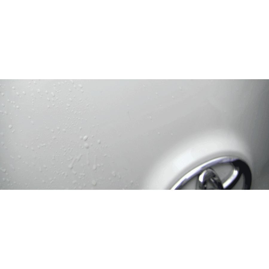 洗車 虫取り クリーナー 虫 ボディ 樹液 除去 カーシャンプー 洗剤 死骸 スプレー 車 塗装 ボディー クリーナー 鳥 糞 クリン 虫取りクリーナー１２本セット カークリーニング用品のアクス 通販 Yahoo ショッピング