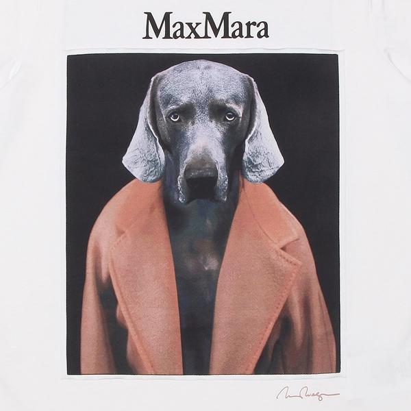 Max Mara マックスマーラ Tシャツ カットソー チプリア ホワイト Max Mara マックスマーラ Tシャツ カットソー チプリア ホワイト