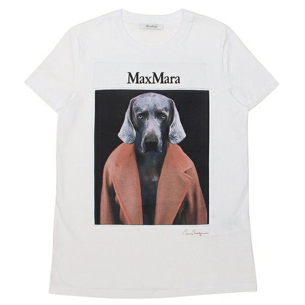 美品　MaxMara Tシャツ　Lサイズ　クリーニング済 Max Mara（マックスマーラ） Tシャツ カットソー チプリア ホワイト