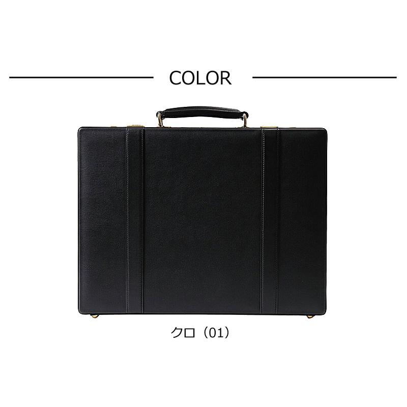 GOLD PFEIL（ゴールドファイル） [メーカー在庫確認]ゴールドファイル