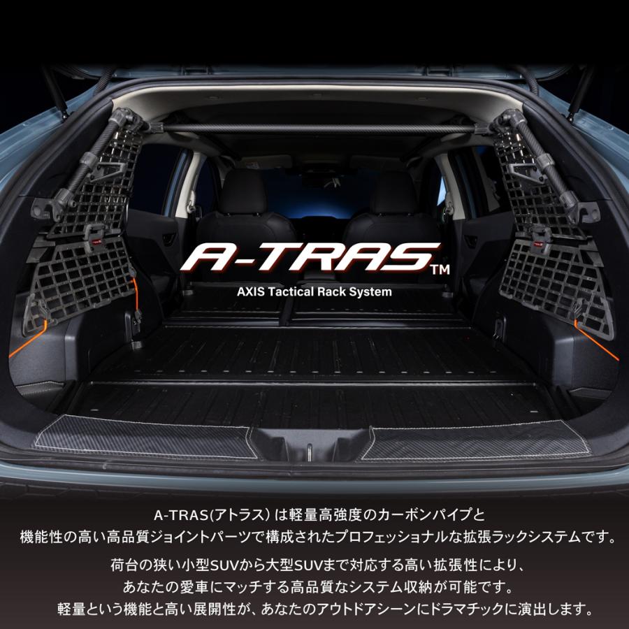 RAV4 トヨタ RAV4(60系(R7.12〜))専用リアゲートマルチグラブバー A