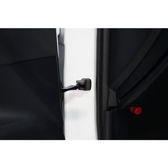 レクサス NX（型式：20系（年式：R3.11〜））マットブラックタイプ