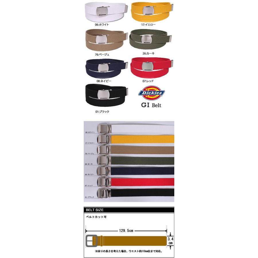 ネコポス（ポスト投函・日時指定不可）対応商品 GI Belt (GIベルト
