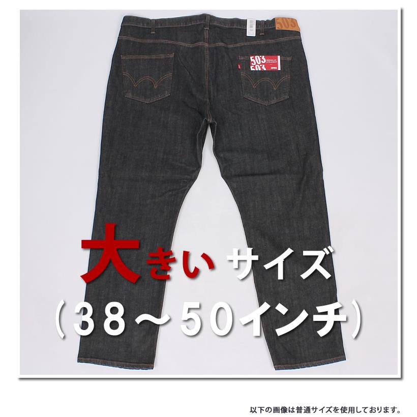 修正Deさま専用14 503 10%OFF 38〜50インチ EDWIN エドウィン ジーンズ メンズ