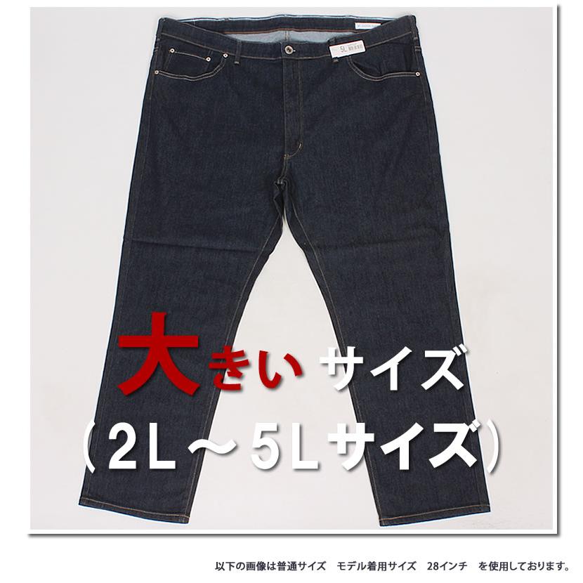 JERSEYS 2L〜5L EDWIN エドウィン 涼 クール レギュラーストレート 