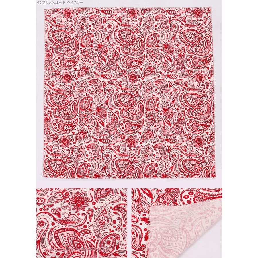 HAV-A-HANK（ハバハンク） バンダナ（プリムスペイズリー