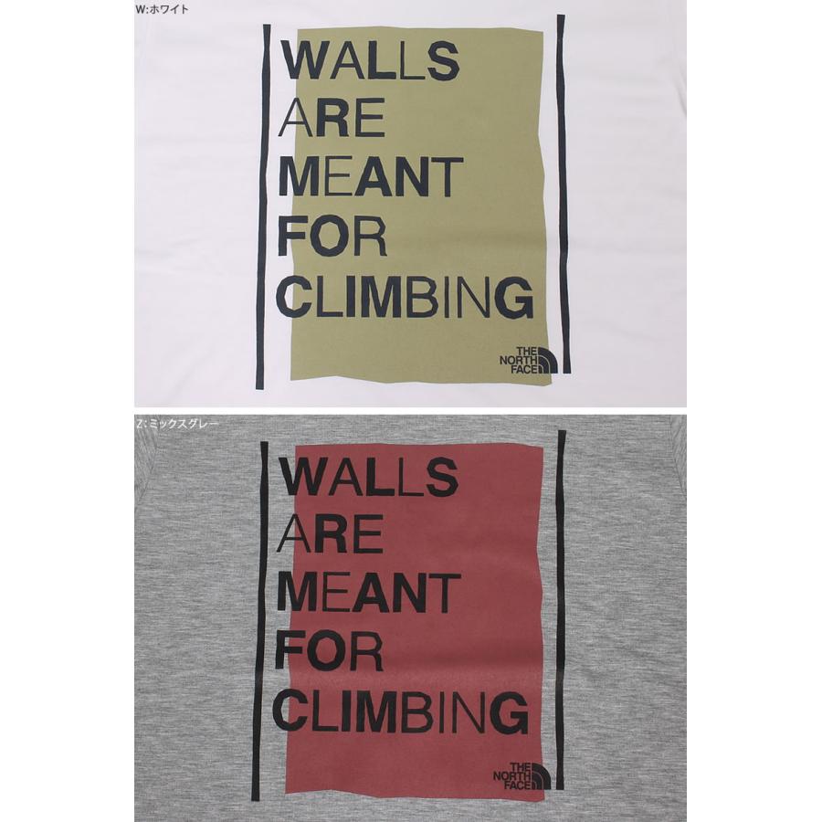 SALE THE NORTH FACE ザ ノースフェイス S/S Colored Walls Tee ショートスリーブ カラード ウォールズ Tシャツ NT32282｜axs-sanshin｜17