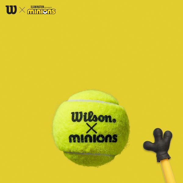 ウィルソン ミニオンズ テニスボール WILSON MINIONS TENNIS BALLS WR8202401001 硬式 テニスボール 練習球｜axtos-shop｜04