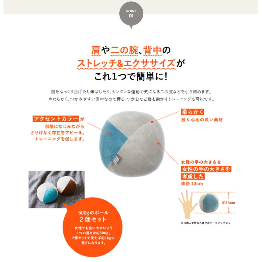MIZUNO（ミズノ） ボルレッチ ダンベルボール 500g 2個セット
